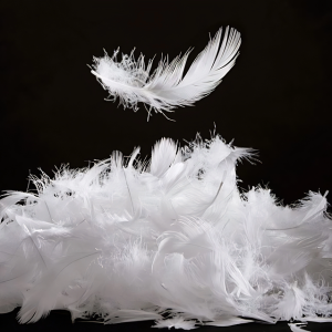 Premium White Goose Feathers – Exceptional Support, Durable Structure & Natural Elegance